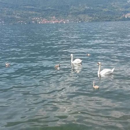 Appartamento Vista Lago - Betta Lezzeno Zewnętrze zdjęcie
